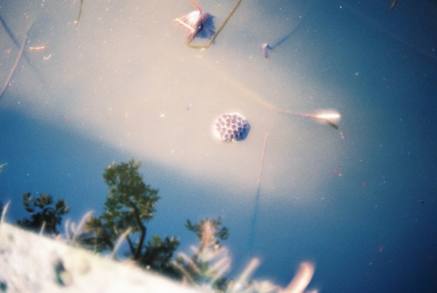 Dior Photography Award for Young Talent 13