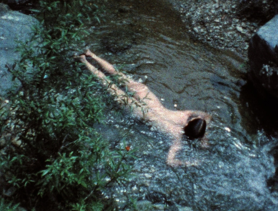 Laid Bare in the Landscape - Ana Mendieta 3