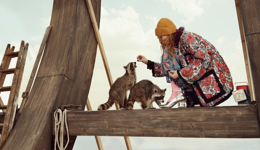 CRUISE 19 CAMPAIGN glen luchford 7