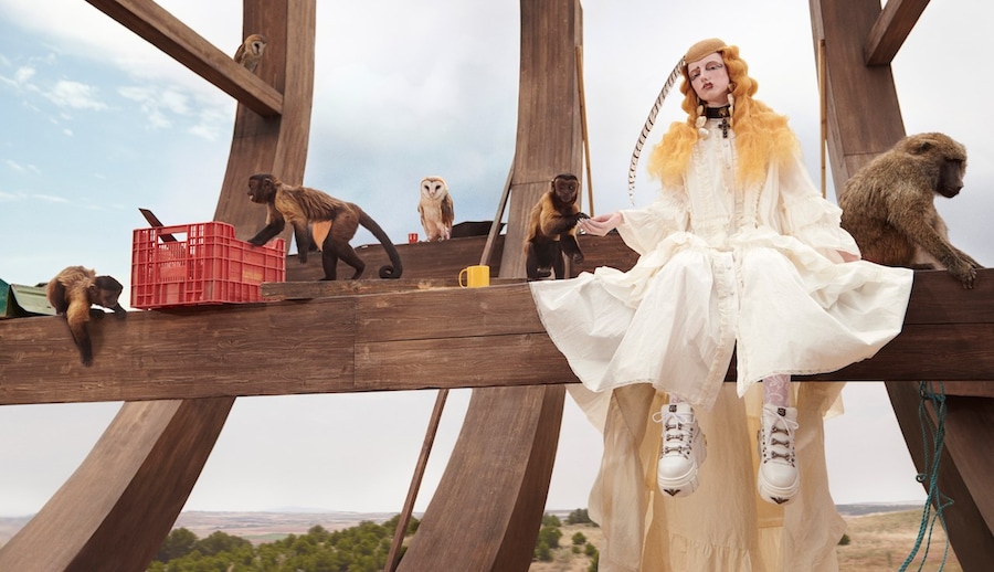 CRUISE 19 CAMPAIGN glen luchford 9