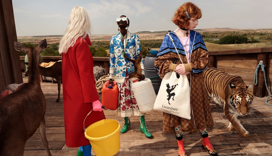 CRUISE 19 CAMPAIGN glen luchford 12
