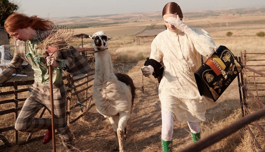 CRUISE 19 CAMPAIGN glen luchford 15