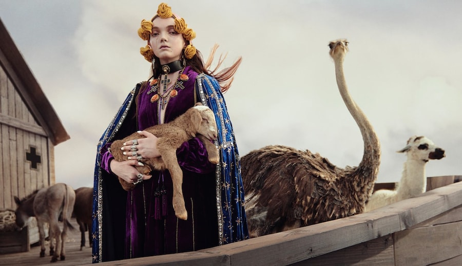CRUISE 19 CAMPAIGN glen luchford 17