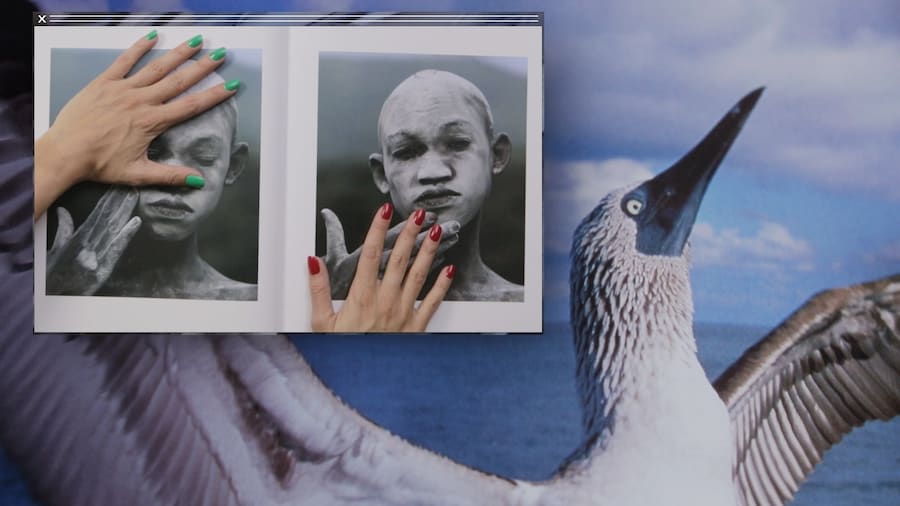 Camille Henrot Grosse Fatigue 2 9