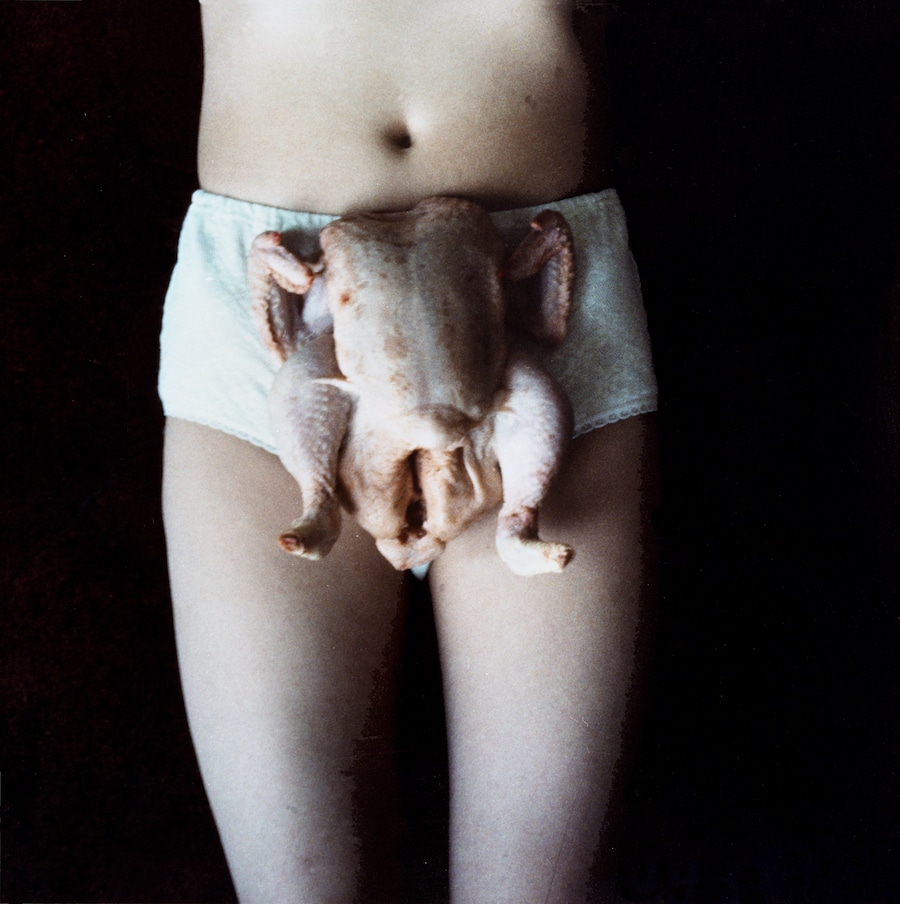 Sarah Lucas – Au Naturel 1
