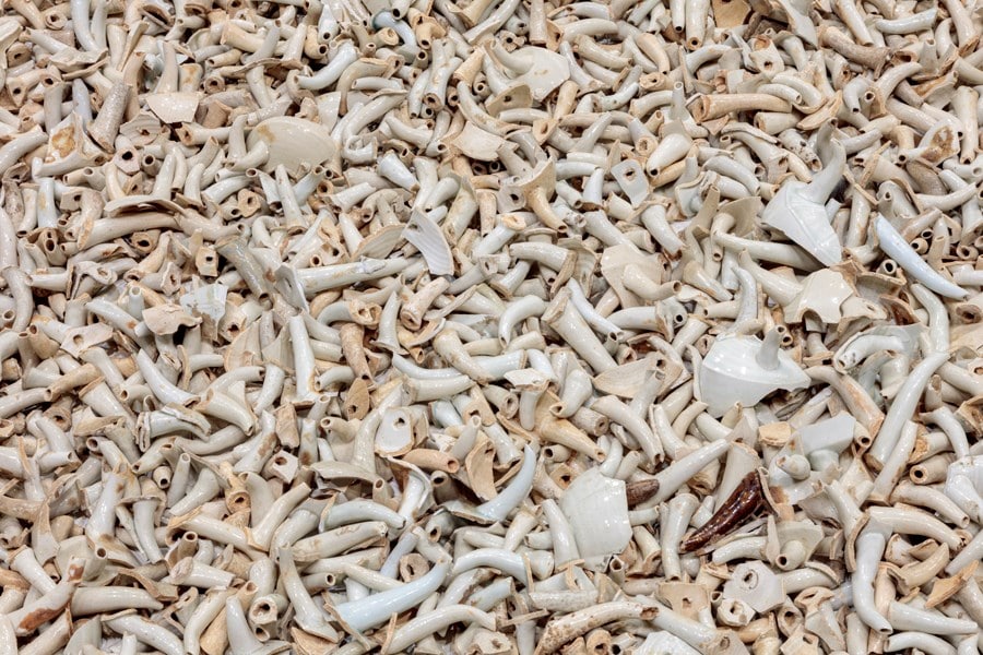 Ai WeiWei: Life Cycle 3
