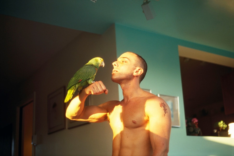 Magnum x Aperture Square Print Sale: Crossings 0