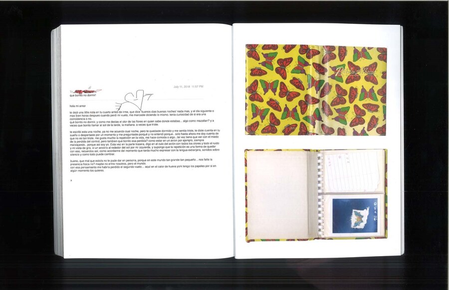 Zora Sicher’s Progreso 110 22