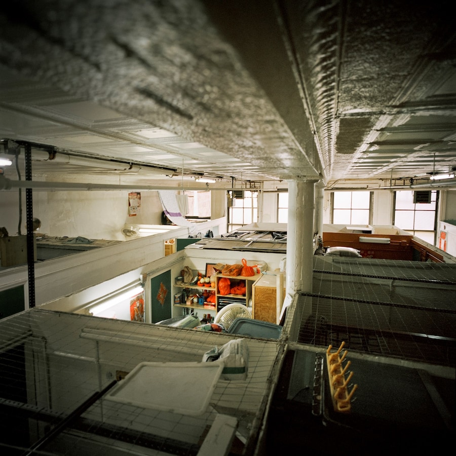 Interior Lives by Annie Ling 1