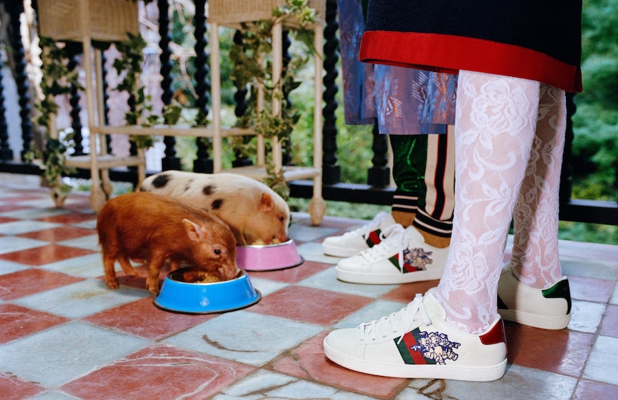 gucci year of the pig alessandro michele frank lebon 4