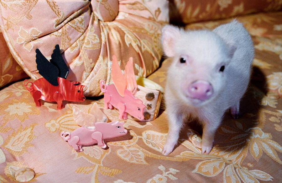 gucci year of the pig alessandro michele frank lebon 5