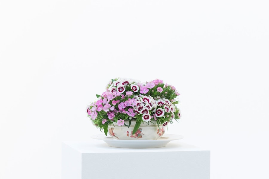 Grace Wales Bonner, Serpentine 7