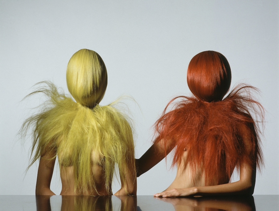 Irving Penn Phyllis Posnick 0