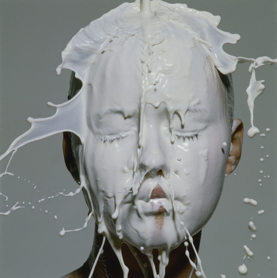 Irving Penn Phyllis Posnick 3
