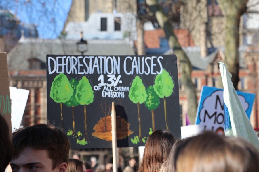 UK Climate Strike 10