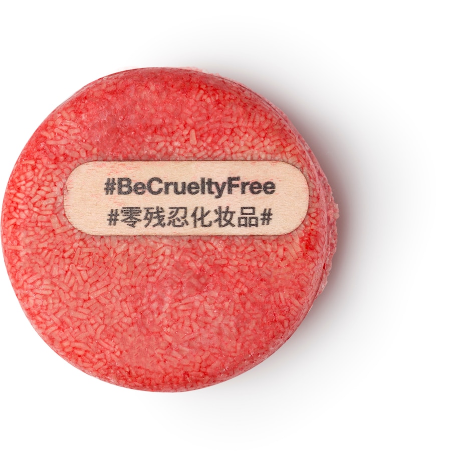 Best shampoo bars Dazed