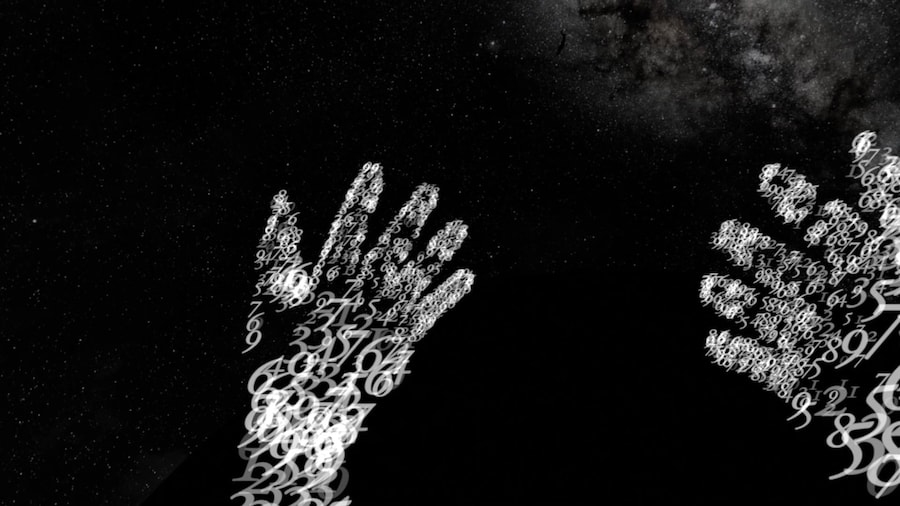 Laurie Anderson and Hsin-Chien Huang’s To The Moon 10