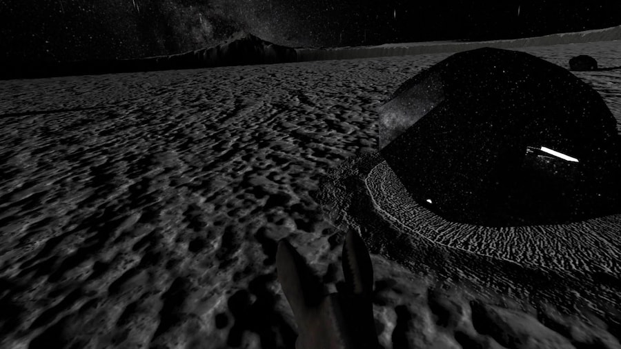Laurie Anderson and Hsin-Chien Huang’s To The Moon 13