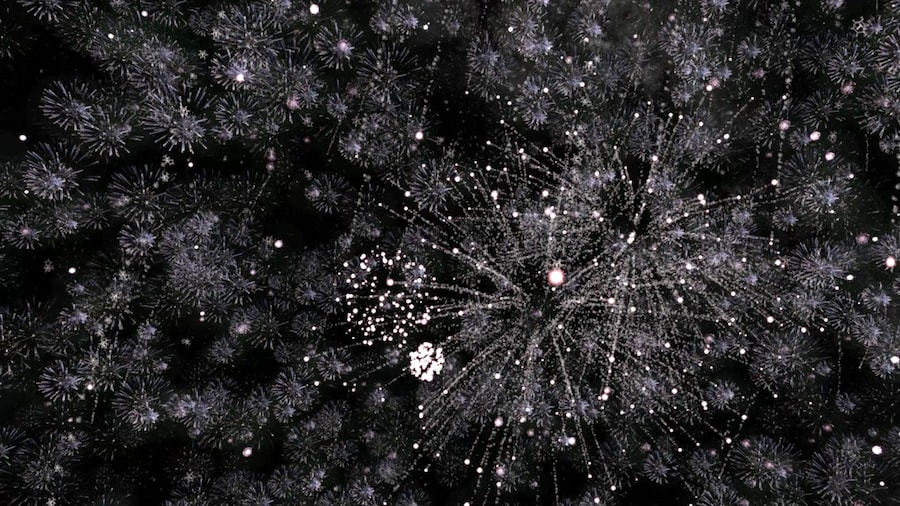 Laurie Anderson and Hsin-Chien Huang’s To The Moon 14