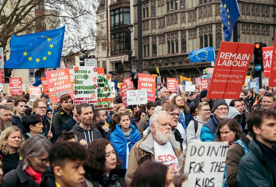 Brexit Protesters