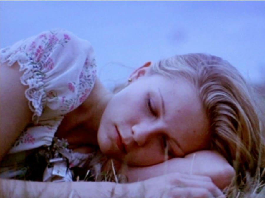 the-virgin-suicides-1