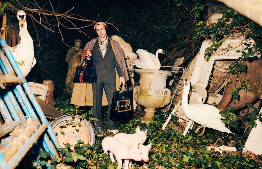 gucci pre fall harry styles harmony korine campaign 3