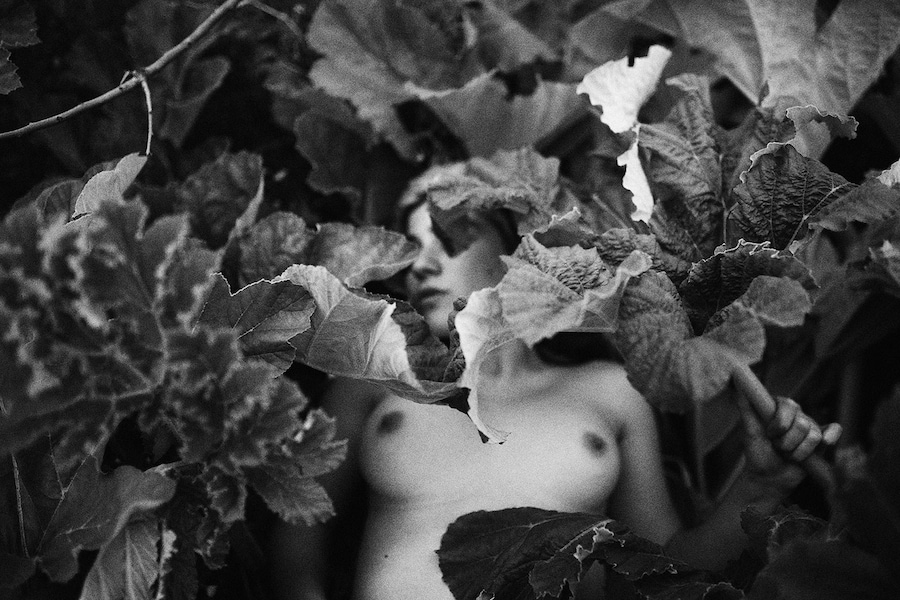 Cansu Yildiran’s Shelter 19