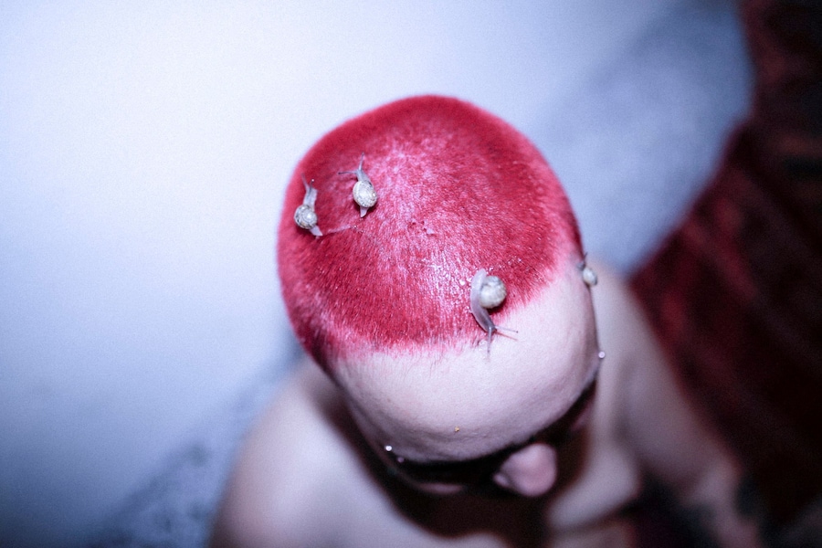 Cansu Yildiran’s Shelter 11