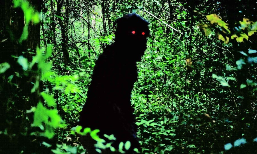UNCLE BOONMEE WHO CAN RECALL HIS PAST LIVES (Apichatpongg) 0