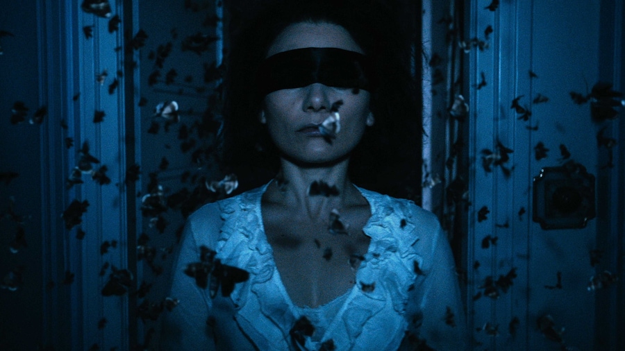 THE DUKE OF BURGUNDY (Peter Strickland, 2014) 1