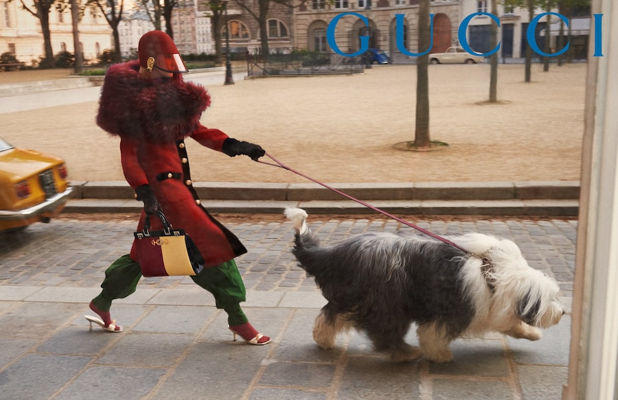 gucci aw19 campaign glen luchford alessandro michele 2 0