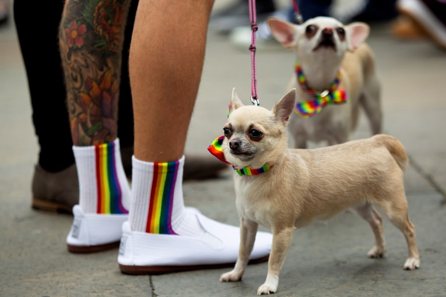 Belfast Pride 2019 29