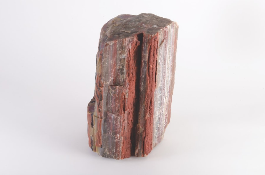 Bad Luck Hot Rocks Petrified Forest book Ryan Thompson 4 4