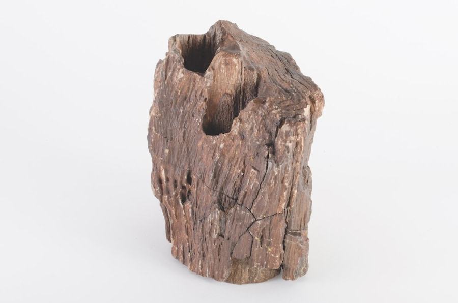 Bad Luck Hot Rocks Petrified Forest book Ryan Thompson 7 9