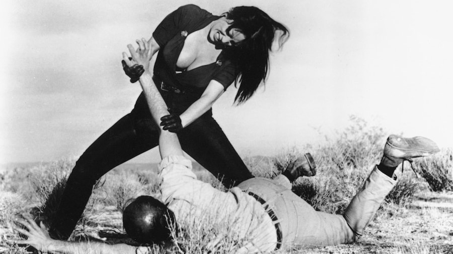 Varla, Faster, Pussycat! Kill! Kill! 19