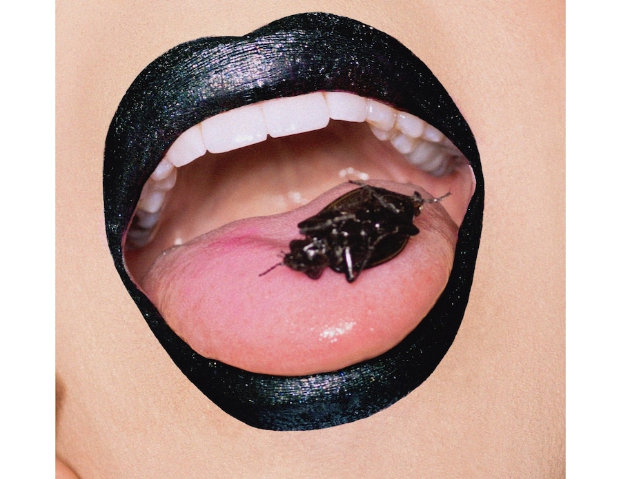 coverboy willam belli drag race rupaul make-up brand 1