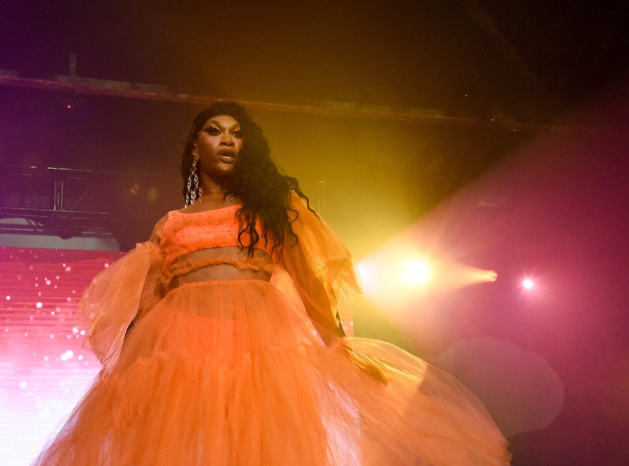 Miss Toto at Bushwig 16