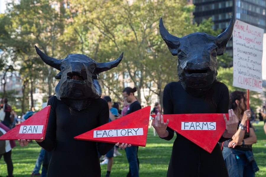 New York Climate Strike 14