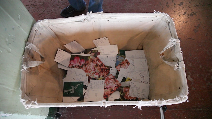 A still from @Large: Ai Weiwei on Alcatraz 3