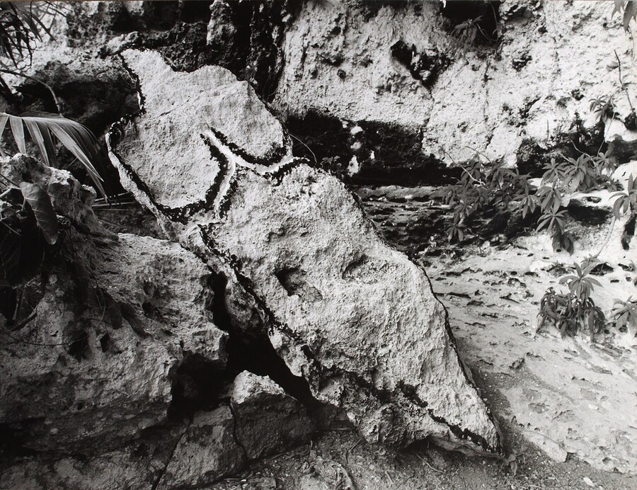 Ana Mendieta’s La Tierra Habla (The Earth Speaks) 0