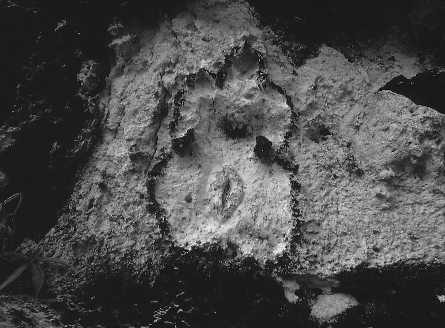 Ana Mendieta’s La Tierra Habla (The Earth Speaks) 1