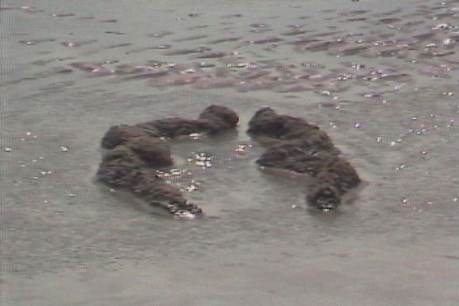 Ana Mendieta’s La Tierra Habla (The Earth Speaks) 2