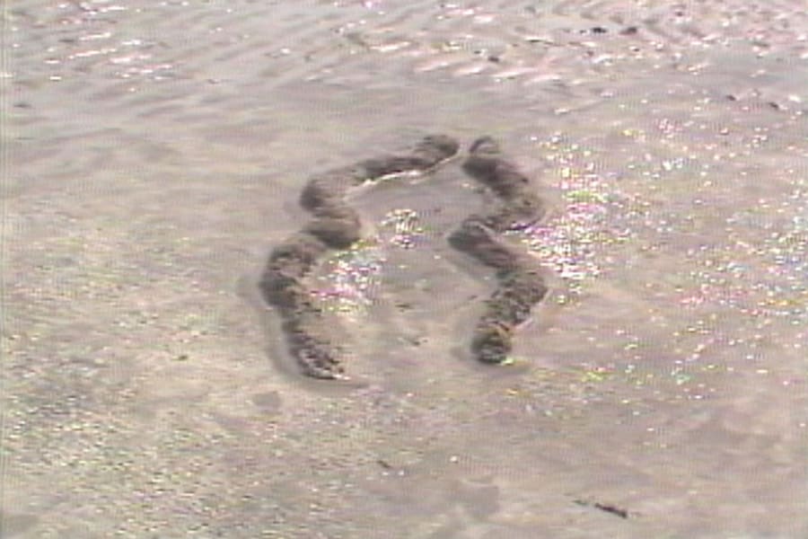 Ana Mendieta’s La Tierra Habla (The Earth Speaks) 3