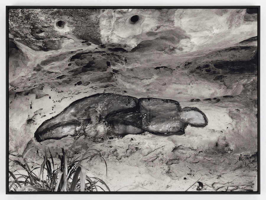 Ana Mendieta’s La Tierra Habla (The Earth Speaks) 4