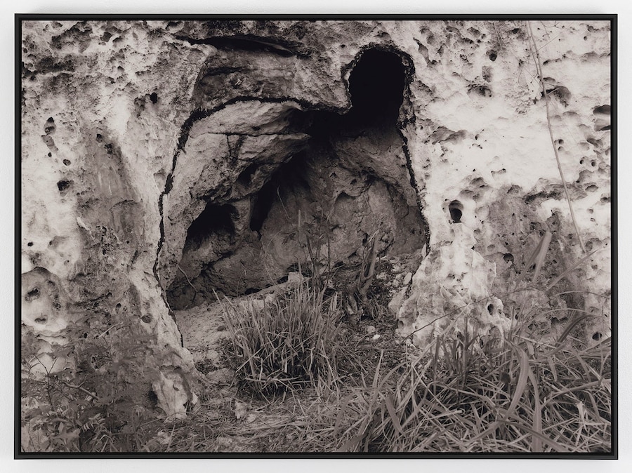 Ana Mendieta’s La Tierra Habla (The Earth Speaks) 5