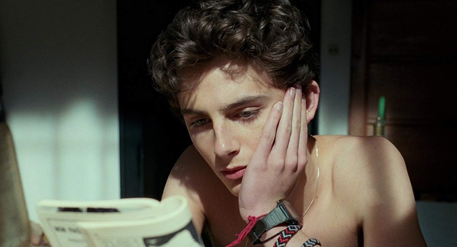 Timoth&#233;e Chalamet in Call Me By Your Name