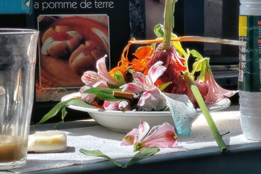 Novembre 15 3