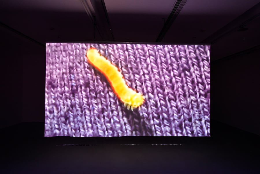The Mesh at chi K11 Art Museum 10