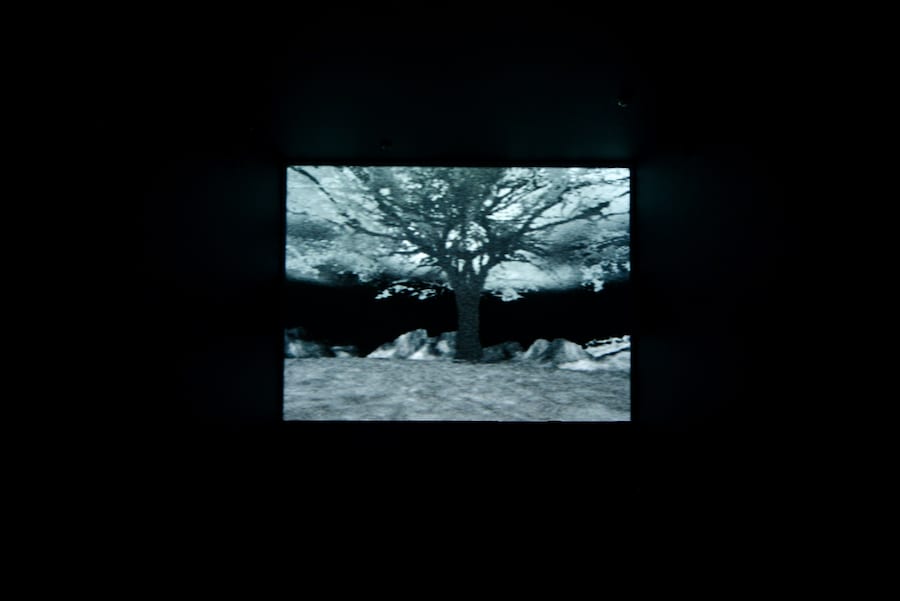 The Mesh at chi K11 Art Museum 15