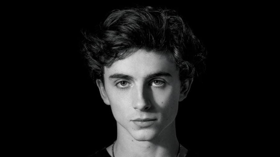 Timoth&#233;e Chalamet is doing a play at London’s Old Vic